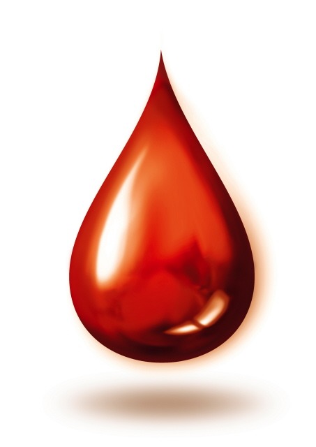 Darovanie krvi - Obrázok 1