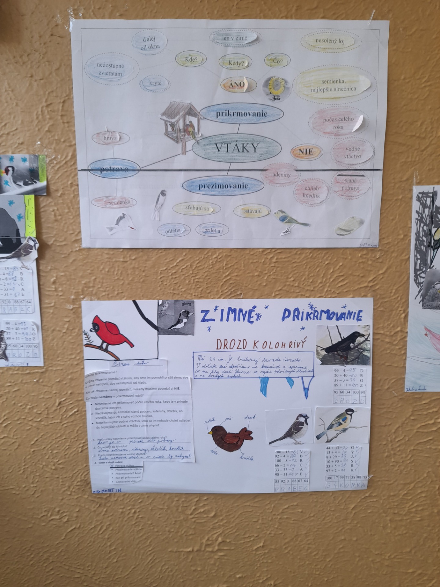 VEU- Starostlivosť o vtáky v zime,zapojenie sa do projektu Vtáčia hodinka,tvorba kŕmidiel,pozorovanie vtákov, projektové vyučovanie 2. a 4. roč. - Obrázok 5