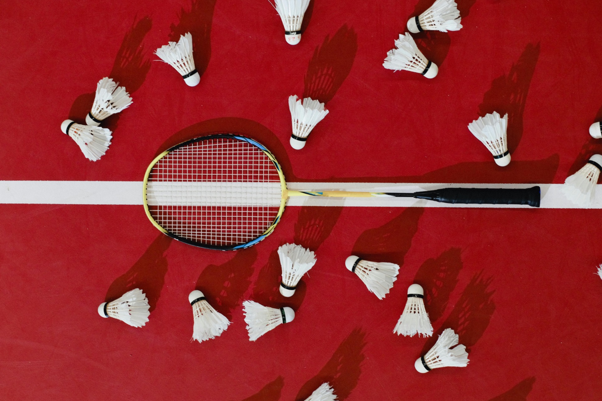 Arbeitsgemeinschaft Badminton - Bild 1