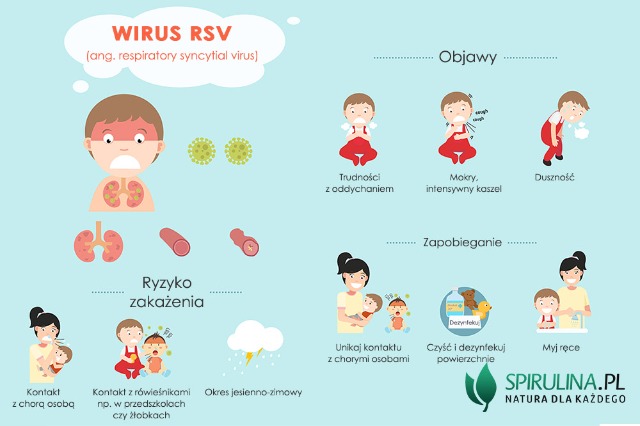 Wirus RSV - Obrazek 1