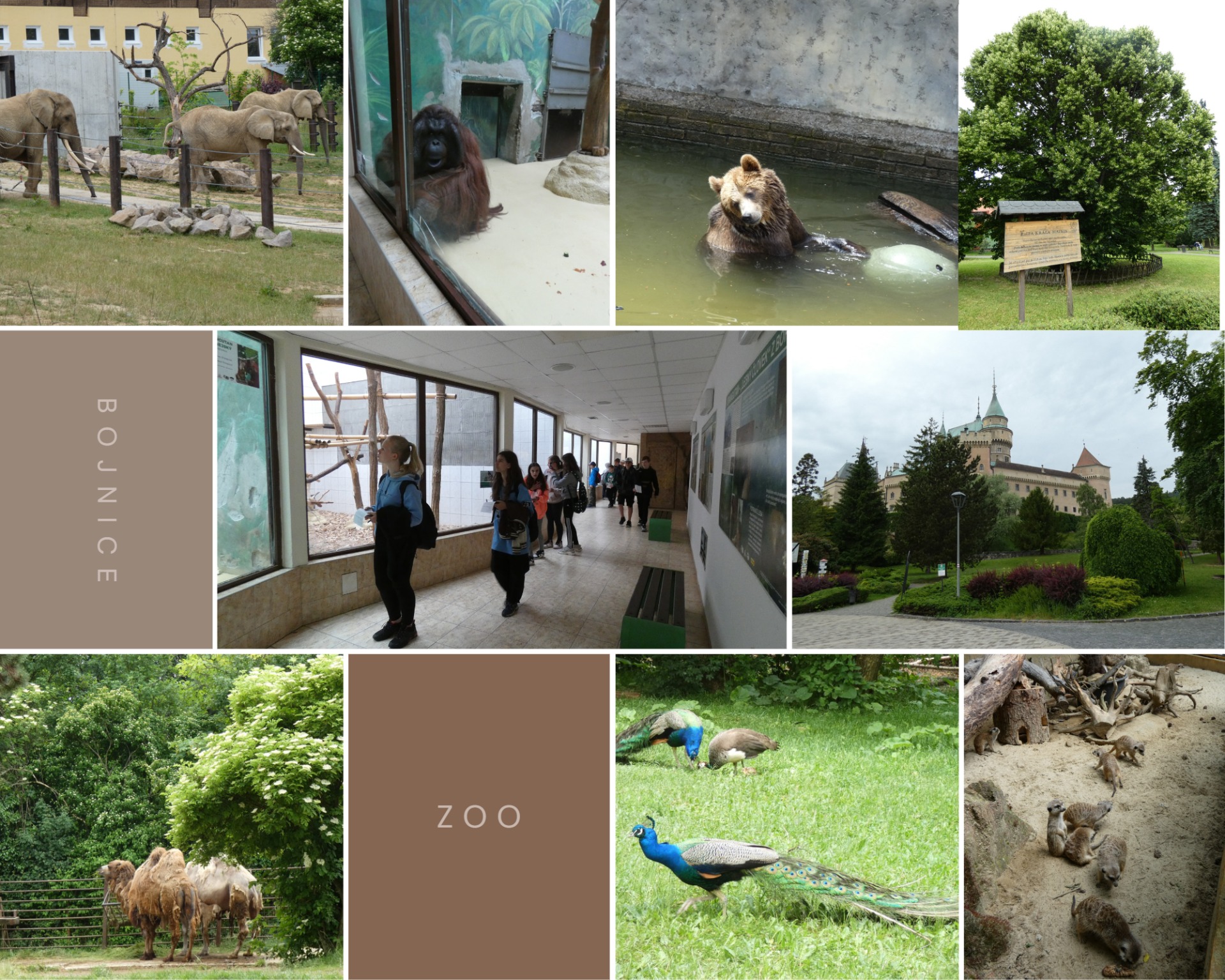 Exkurzia Múzeum praveku a ZOO Bojnice - Obrázok 6