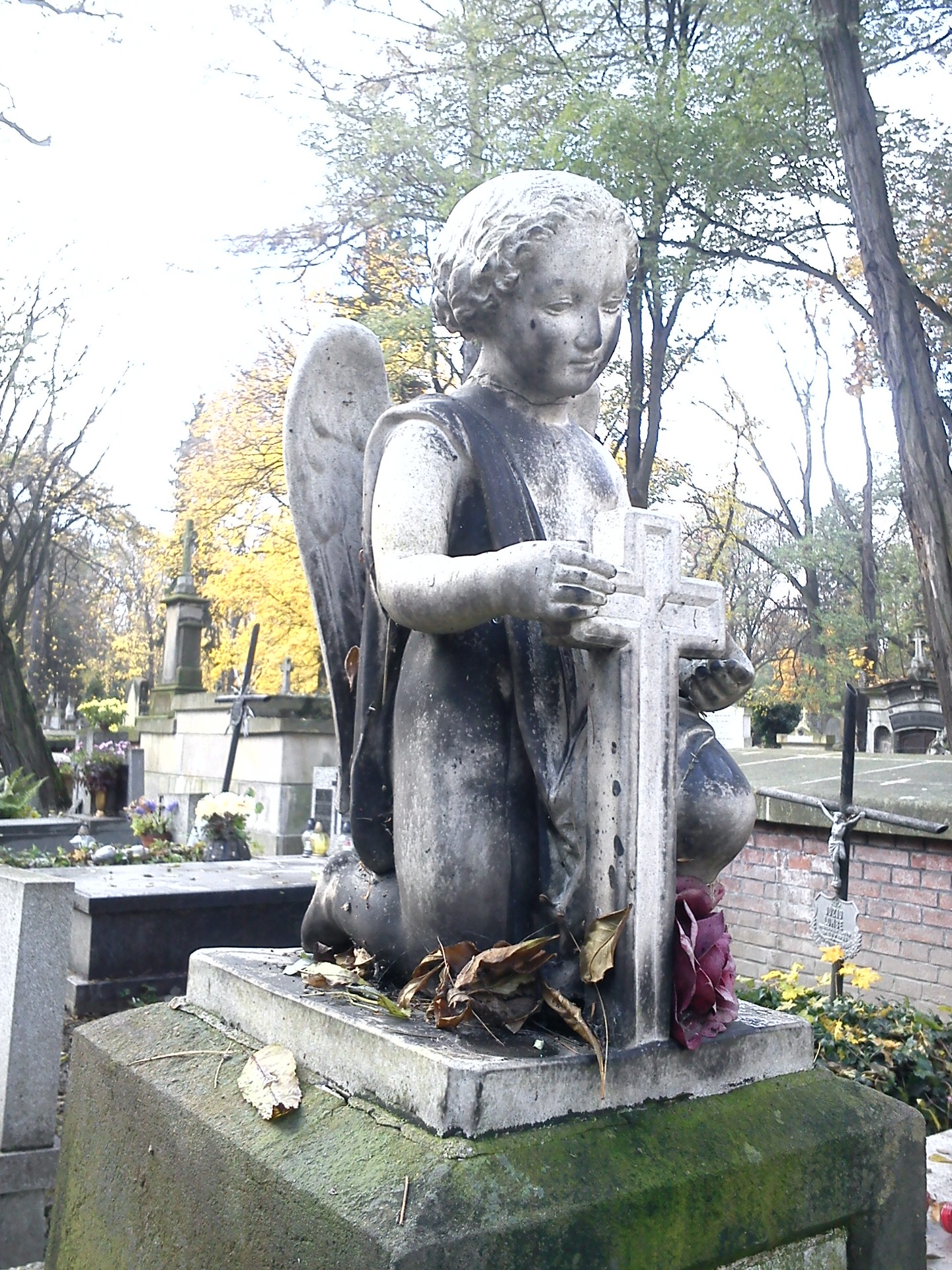 Cmentarz Rakowicki - miejsce spoczynku sławnych krakowian - Obrazek 2