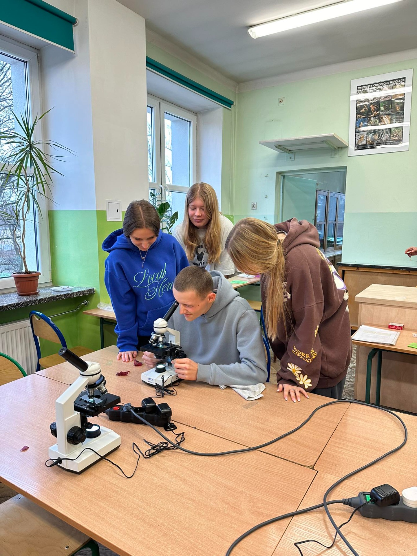 Uczniowie klasy 3C na warsztatach z mikroskopowania