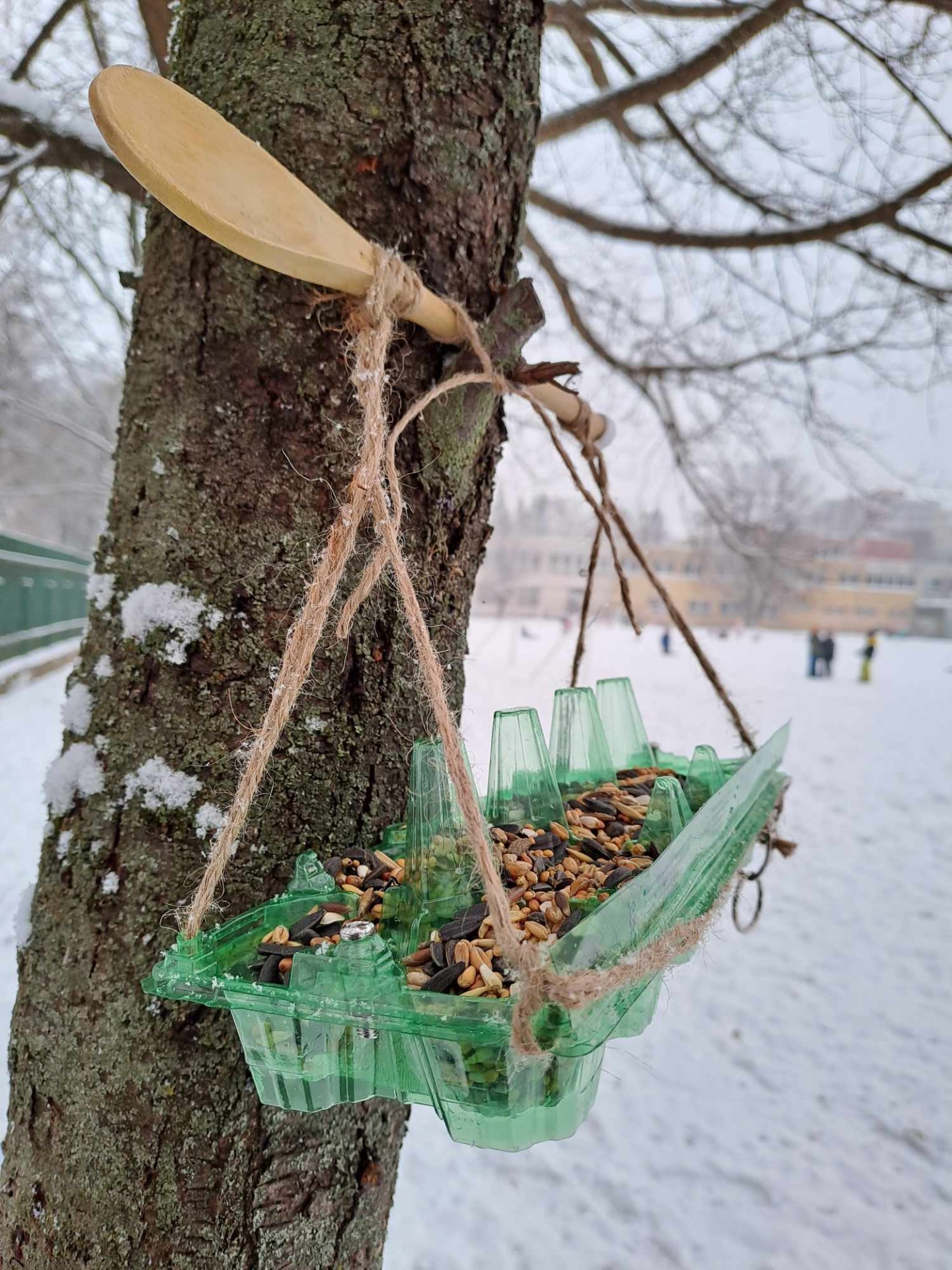 Prikrmovanie vtáčikov v zime - Obrázok 2