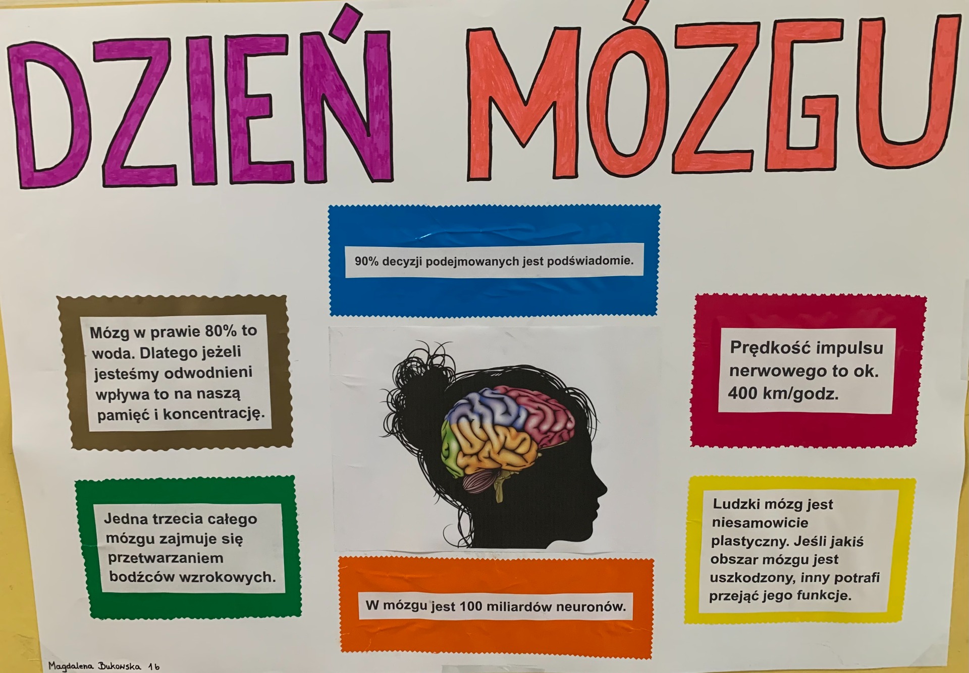 Plakat informujący o możliwościach mózgu
