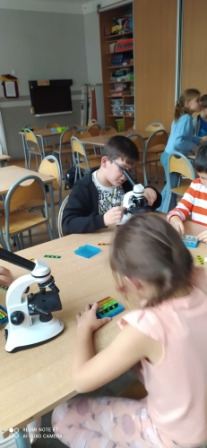 Uczniowie podczas zajęć świetlicowych z mikroskopowania