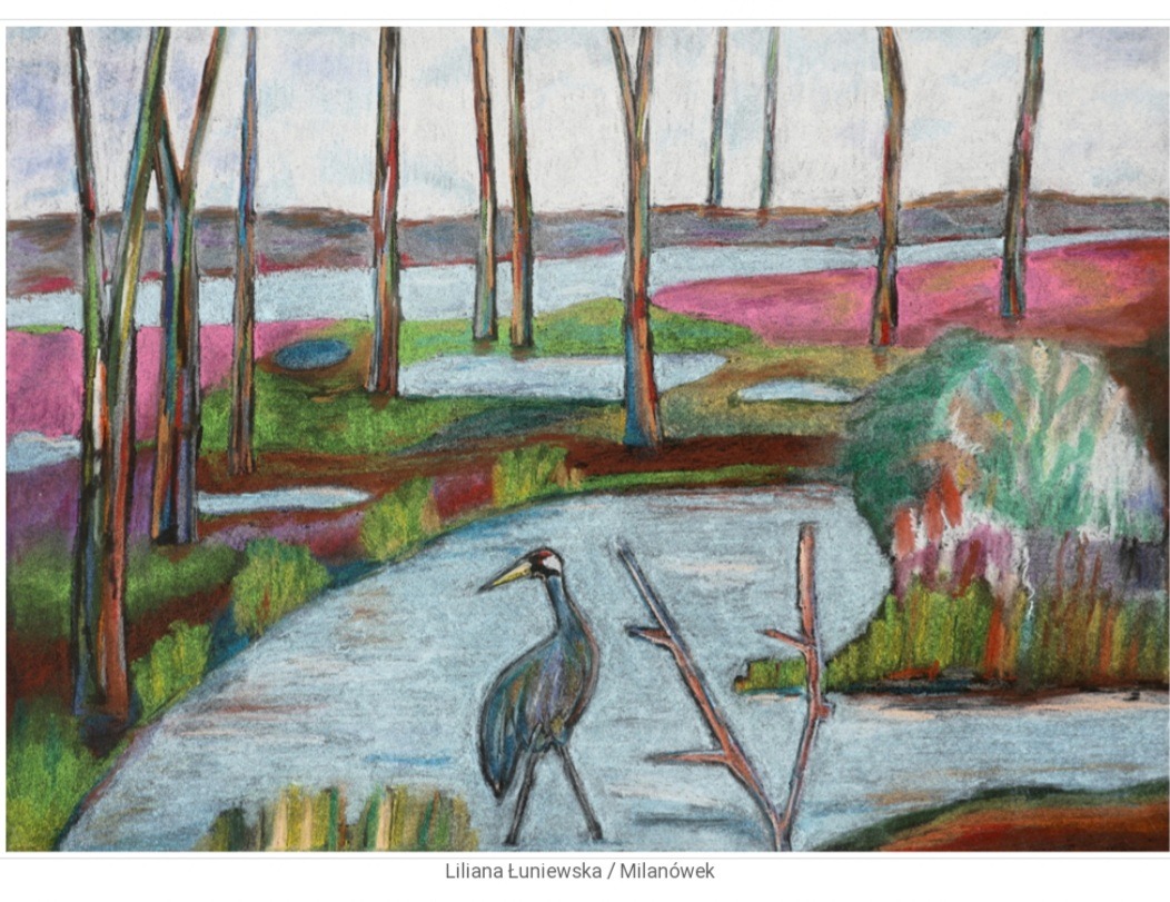 Zdjęcie przedstawia pracę plastyczną wykonaną pastelami, która przedstawia ptaka brodzącego w sadzawce, wokół której znajdują się tereny podmokłe z pniami drzew.