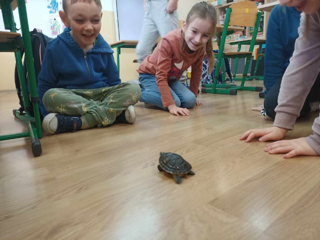 Uczniowie klasy pierwszej z żółwiem.